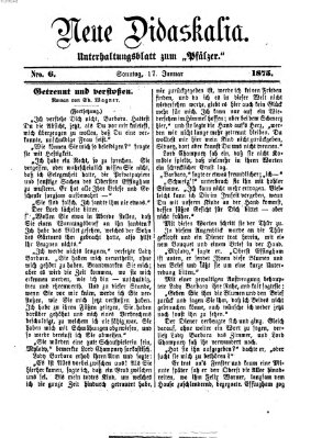 Neue Didaskalia (Pfälzer) Sonntag 17. Januar 1875