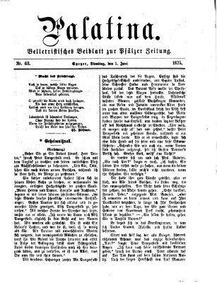 Palatina (Pfälzer Zeitung) Dienstag 1. Juni 1875