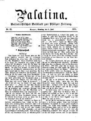 Palatina (Pfälzer Zeitung) Samstag 5. Juni 1875