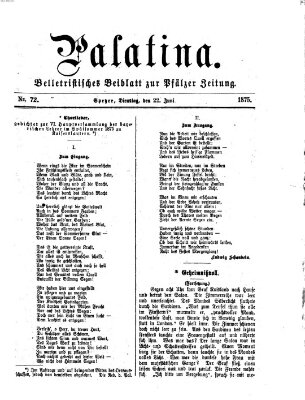 Palatina (Pfälzer Zeitung) Dienstag 22. Juni 1875
