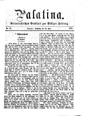 Palatina (Pfälzer Zeitung) Dienstag 29. Juni 1875