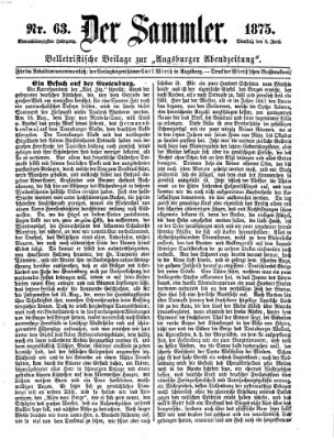 Der Sammler (Augsburger Abendzeitung) Dienstag 8. Juni 1875