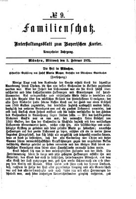 Familienschatz (Bayerischer Kurier) Mittwoch 3. Februar 1875