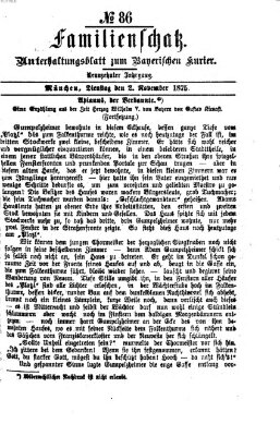 Familienschatz (Bayerischer Kurier) Dienstag 2. November 1875