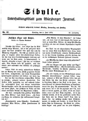 Sibylle (Würzburger Journal) Samstag 5. Juni 1875