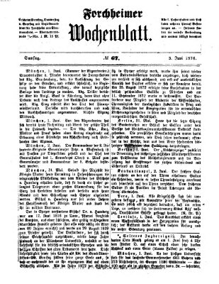 Amtsblatt für die Königlichen Bezirksämter Forchheim und Ebermannstadt sowie für die Königliche Stadt Forchheim Samstag 3. Juni 1876