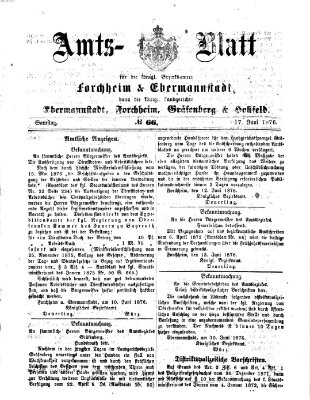 Amtsblatt für die Königlichen Bezirksämter Forchheim und Ebermannstadt sowie für die Königliche Stadt Forchheim Samstag 17. Juni 1876