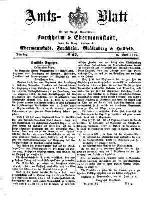 Amtsblatt für die Königlichen Bezirksämter Forchheim und Ebermannstadt sowie für die Königliche Stadt Forchheim Dienstag 27. Juni 1876