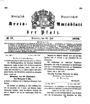 Königlich-bayerisches Kreis-Amtsblatt der Pfalz (Königlich bayerisches Amts- und Intelligenzblatt für die Pfalz) Montag 10. Juli 1876