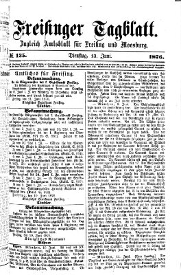 Freisinger Tagblatt (Freisinger Wochenblatt) Dienstag 13. Juni 1876