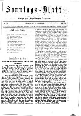 Ingolstädter Tagblatt. Sonntagsblatt (Ingolstädter Tagblatt) Sonntag 3. September 1876