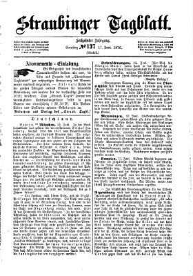 Straubinger Tagblatt Samstag 17. Juni 1876