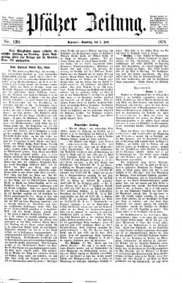 Pfälzer Zeitung Samstag 3. Juni 1876