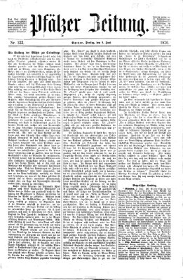 Pfälzer Zeitung Freitag 9. Juni 1876