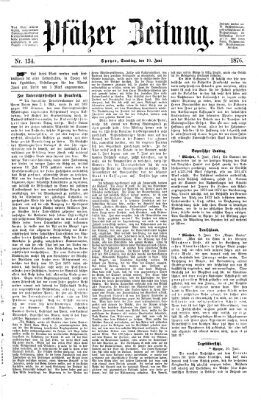 Pfälzer Zeitung Samstag 10. Juni 1876