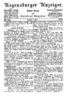 Regensburger Anzeiger Samstag 9. Juni 1877