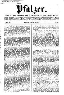 Pfälzer Sonntag 8. April 1877