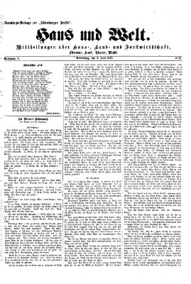 Haus und Welt (Nürnberger Presse) Sonntag 3. Juni 1877