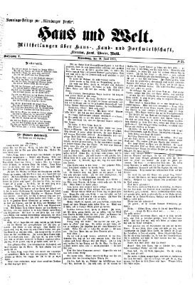 Haus und Welt (Nürnberger Presse) Sonntag 10. Juni 1877