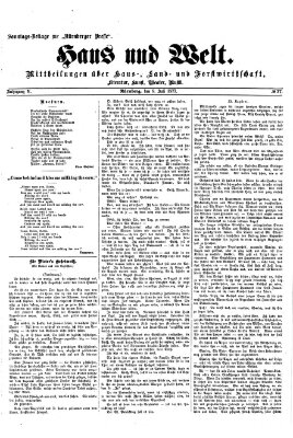 Haus und Welt (Nürnberger Presse) Sonntag 8. Juli 1877