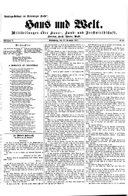 Haus und Welt (Nürnberger Presse) Sonntag 23. Dezember 1877