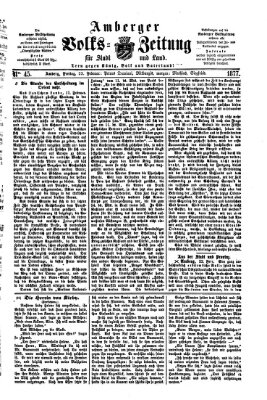 Amberger Volks-Zeitung für Stadt und Land Freitag 23. Februar 1877