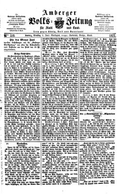 Amberger Volks-Zeitung für Stadt und Land Dienstag 5. Juni 1877