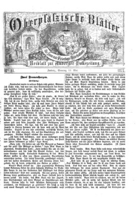 Oberpfälzische Blätter für Sonn- und Feiertags-Unterhaltung (Amberger Volks-Zeitung für Stadt und Land) Sonntag 13. Mai 1877