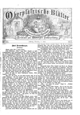 Oberpfälzische Blätter für Sonn- und Feiertags-Unterhaltung (Amberger Volks-Zeitung für Stadt und Land) Sonntag 3. Juni 1877