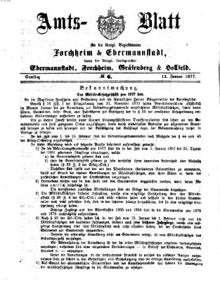 Amtsblatt für die Königlichen Bezirksämter Forchheim und Ebermannstadt sowie für die Königliche Stadt Forchheim Samstag 13. Januar 1877