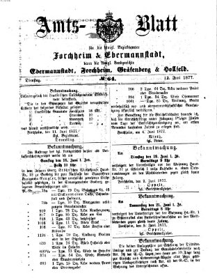 Amtsblatt für die Königlichen Bezirksämter Forchheim und Ebermannstadt sowie für die Königliche Stadt Forchheim Dienstag 12. Juni 1877