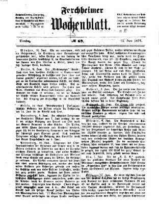 Amtsblatt für die Königlichen Bezirksämter Forchheim und Ebermannstadt sowie für die Königliche Stadt Forchheim Dienstag 12. Juni 1877