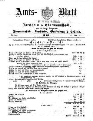 Amtsblatt für die Königlichen Bezirksämter Forchheim und Ebermannstadt sowie für die Königliche Stadt Forchheim Dienstag 19. Juni 1877