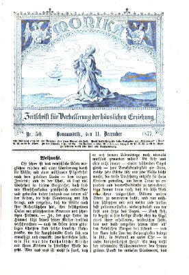 Katholische Schulzeitung (Bayerische Schulzeitung) Dienstag 11. Dezember 1877