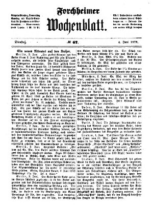 Amtsblatt für die Königlichen Bezirksämter Forchheim und Ebermannstadt sowie für die Königliche Stadt Forchheim Dienstag 4. Juni 1878