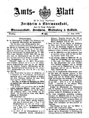 Amtsblatt für die Königlichen Bezirksämter Forchheim und Ebermannstadt sowie für die Königliche Stadt Forchheim Samstag 15. Juni 1878