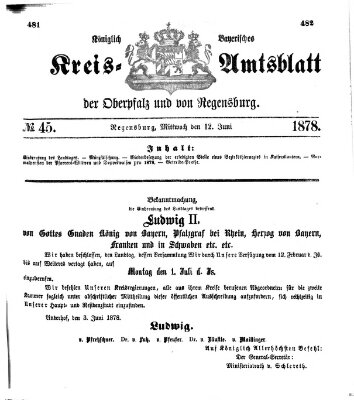 Königlich-bayerisches Kreis-Amtsblatt der Oberpfalz und von Regensburg (Königlich bayerisches Intelligenzblatt für die Oberpfalz und von Regensburg) Mittwoch 12. Juni 1878