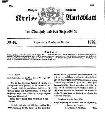 Königlich-bayerisches Kreis-Amtsblatt der Oberpfalz und von Regensburg (Königlich bayerisches Intelligenzblatt für die Oberpfalz und von Regensburg) Samstag 15. Juni 1878