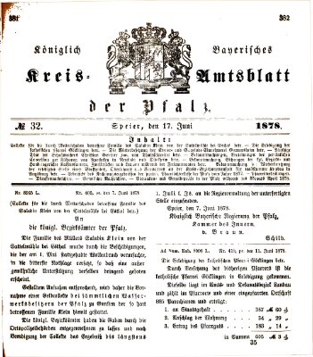 Königlich-bayerisches Kreis-Amtsblatt der Pfalz (Königlich bayerisches Amts- und Intelligenzblatt für die Pfalz) Montag 17. Juni 1878