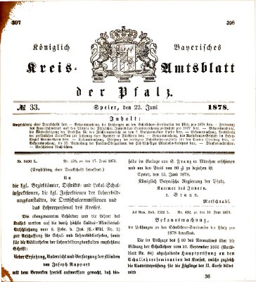 Königlich-bayerisches Kreis-Amtsblatt der Pfalz (Königlich bayerisches Amts- und Intelligenzblatt für die Pfalz) Samstag 22. Juni 1878