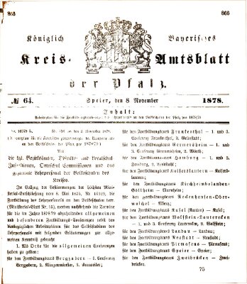 Königlich-bayerisches Kreis-Amtsblatt der Pfalz (Königlich bayerisches Amts- und Intelligenzblatt für die Pfalz) Freitag 8. November 1878