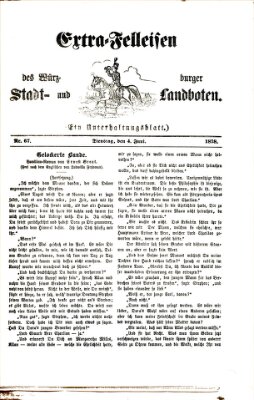 Extra-Felleisen (Würzburger Stadt- und Landbote) Dienstag 4. Juni 1878