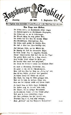 Augsburger Tagblatt Sonntag 1. September 1878