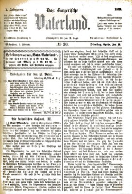 Das bayerische Vaterland Dienstag 5. Februar 1878