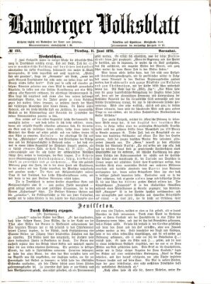 Bamberger Volksblatt Dienstag 11. Juni 1878