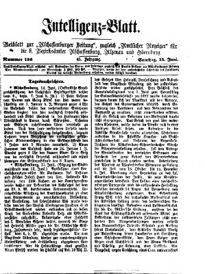 Aschaffenburger Zeitung. Intelligenz-Blatt : Beiblatt zur Aschaffenburger Zeitung ; zugleich amtlicher Anzeiger für die K. Bezirksämter Aschaffenburg, Alzenau und Obernburg (Aschaffenburger Zeitung) Samstag 15. Juni 1878