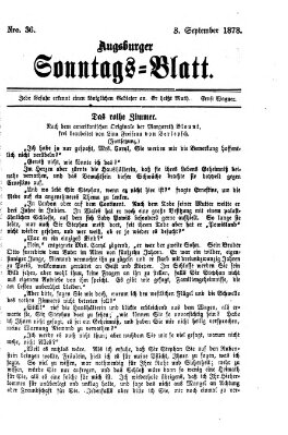 Augsburger Sonntagsblatt (Augsburger Postzeitung) Sonntag 8. September 1878