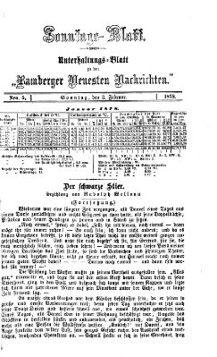 Bamberger neueste Nachrichten. Sonntagsblatt : Unterhaltungs-Beilage zu den "Bamberger neueste Nachrichten" (Bamberger neueste Nachrichten) Sonntag 3. Februar 1878